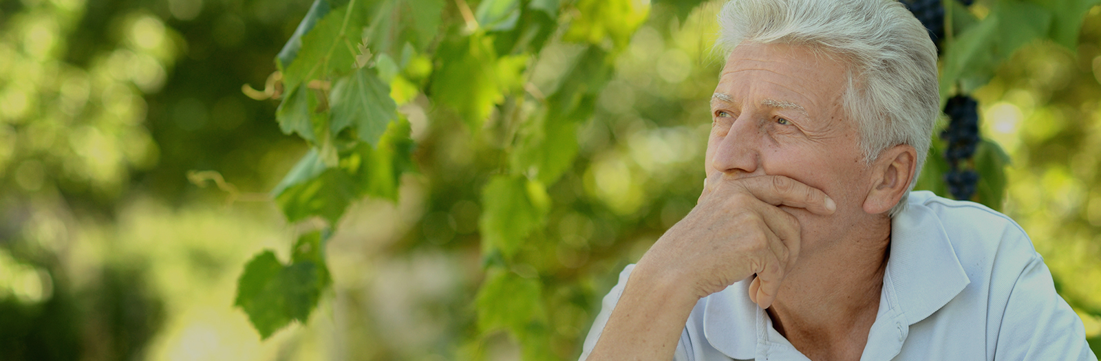 CTA 1.1B Glaucoma-Dan-Nguyen-Nguyen-Vision-Wrexham