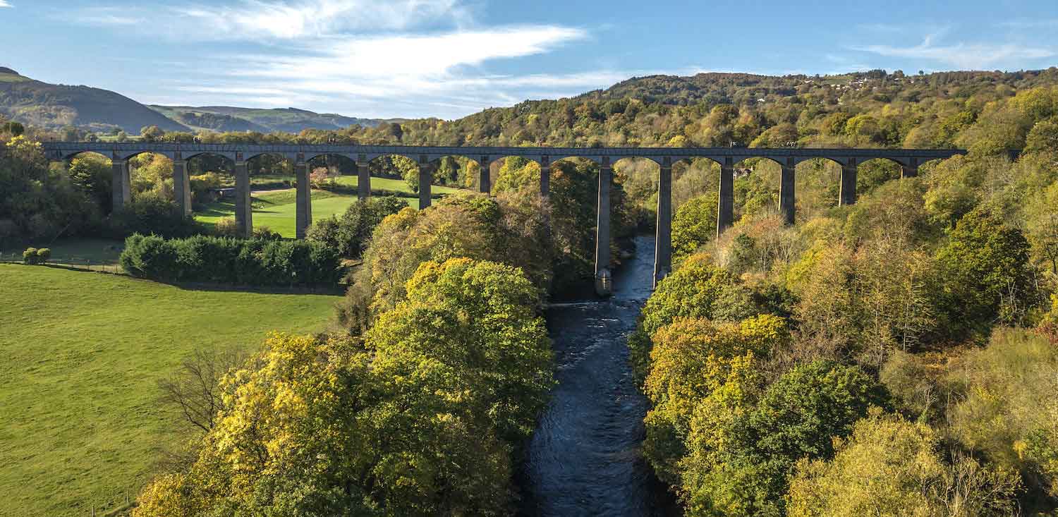 NVL-Wrexham-find-me-container-background-Dan-Nguyen-2-v2